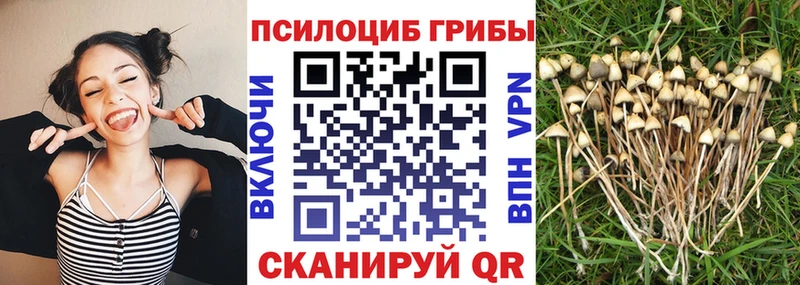 blacksprut ONION  Северодвинск  Галлюциногенные грибы Psilocybine cubensis  наркошоп 
